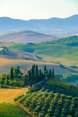 De heuvels van Toscane in de zomer
