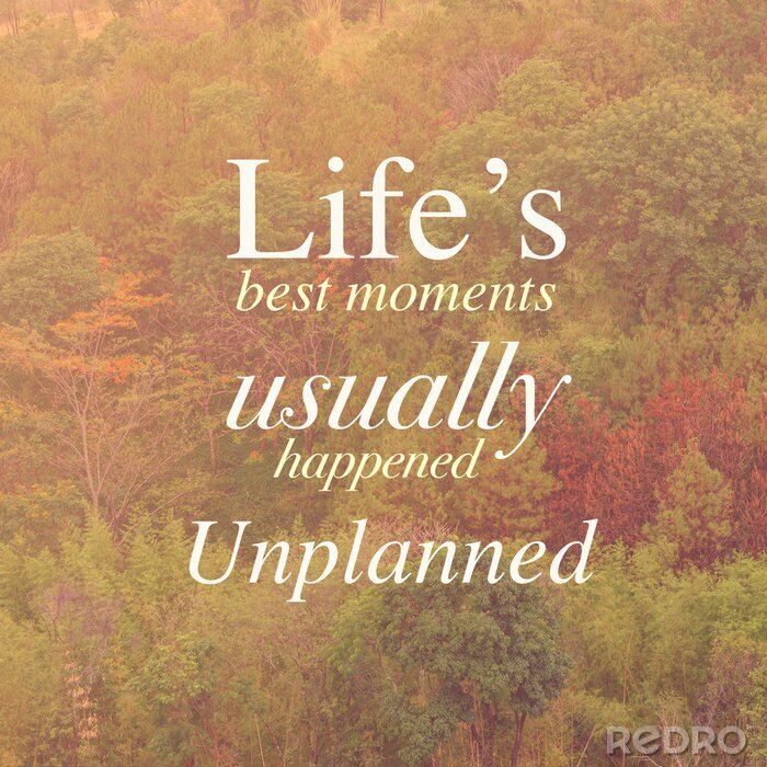 Fotobehang De inscriptie over het leven op de achtergrond van bomen