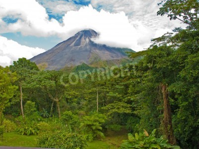 Fotobehang De jungle op de achtergrond van een vulkaan