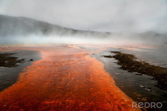 Fotobehang De natuur in de mist