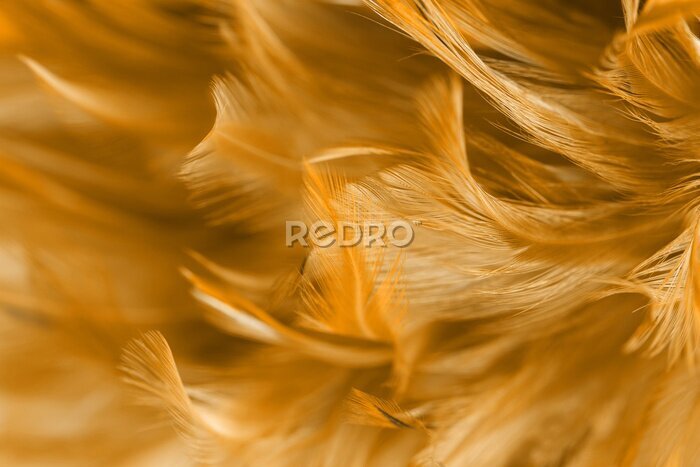 Fotobehang De oranje textuur van de bohoveer