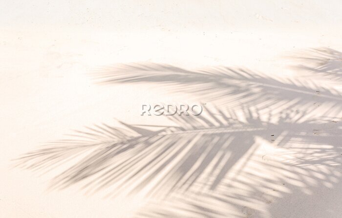 Fotobehang De schaduw van palmbladeren op het strand
