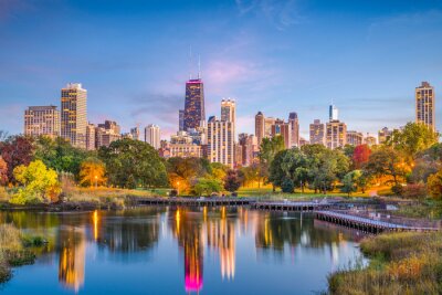 De skyline van Chicago en Lincoln Park