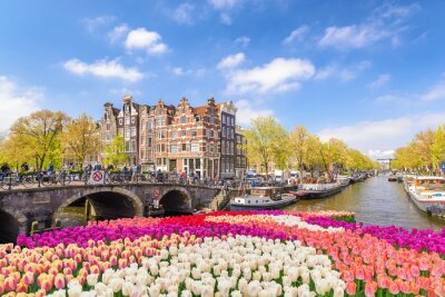 De stadshorizon van Amsterdam bij kanaalwaterkant met de bloem van de de lentetulp, Amsterdam, Nederland