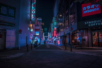 De straten van Tokyo bij nacht