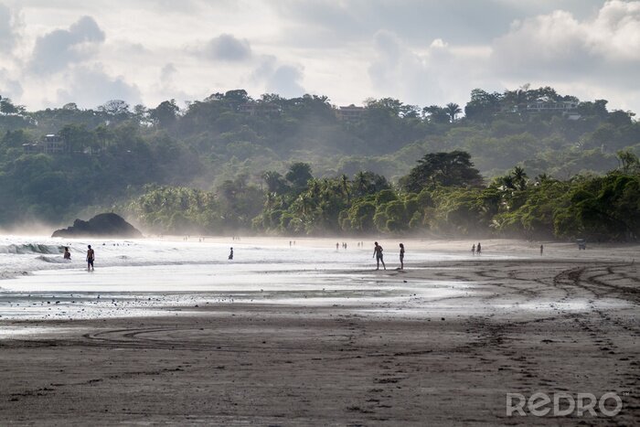 Fotobehang De tropen in Costa Rica
