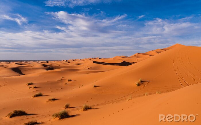 Fotobehang De woestijn met de hemel op de achtergrond