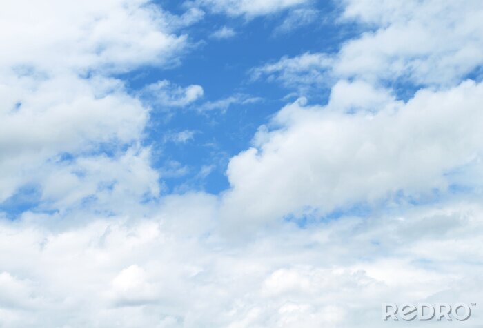 Fotobehang Delicaat patroon met de lucht