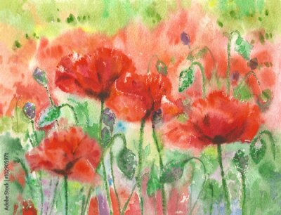 Fotobehang Delicate aquarel met klaprozen