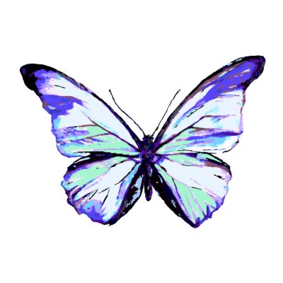 Fotobehang Delicate blauwe vlinder