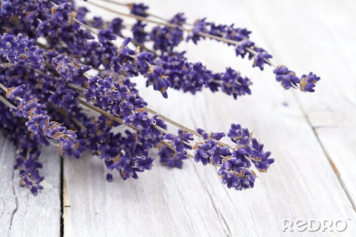 Fotobehang Delicate lavendel op planken