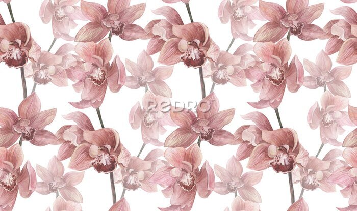 Fotobehang Dichte roze orchideebloemen
