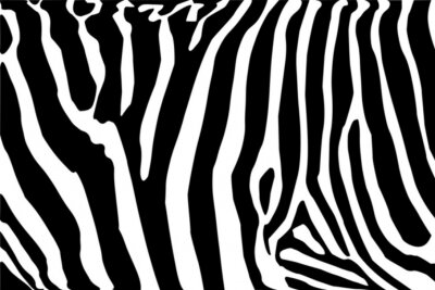 Dierenprint met een zebra