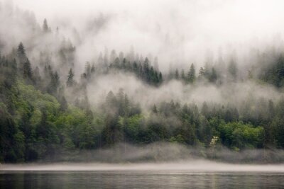 Fotobehang Dikke mist over het meer en het bos