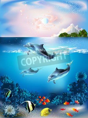 Fotobehang Dolfijnen en de onderwaterwereld van planten