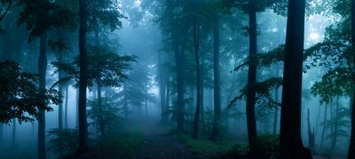 Fotobehang Donker bos in blauwe tinten