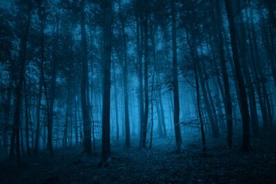 Donkerblauw bos