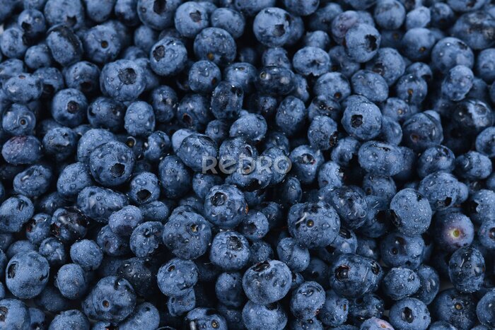 Fotobehang Donkerblauwe bessen in een mand