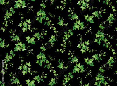 Fotobehang Donkere klimopranken