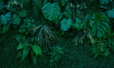 Fotobehang Donkergroene muur