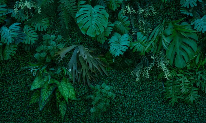 Fotobehang Donkergroene muur