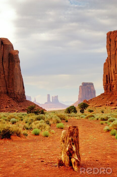 Fotobehang Door het dal