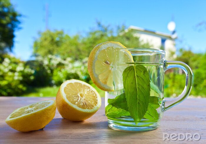 Fotobehang Drankje met munt en citroen