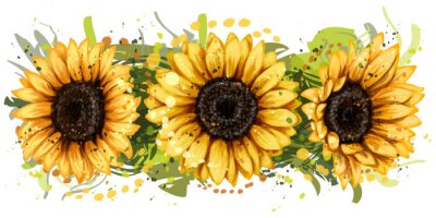 Fotobehang Drie aquarel zonnebloemen