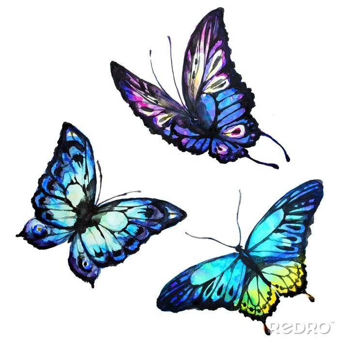Fotobehang Drie blauwe vlinders