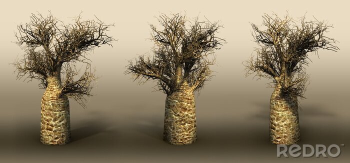 Fotobehang Drie bomen op een grijze achtergrond