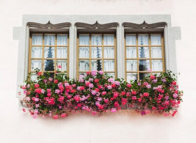 Fotobehang Drie ramen in oude huis met roze bloemen