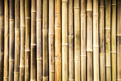 Fotobehang Droge bamboe stengels