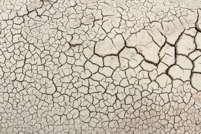 Fotobehang Droge grond