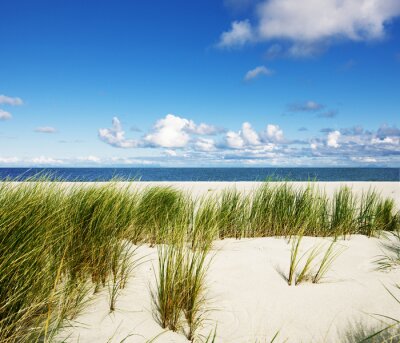 Fotobehang Duinen en natuur