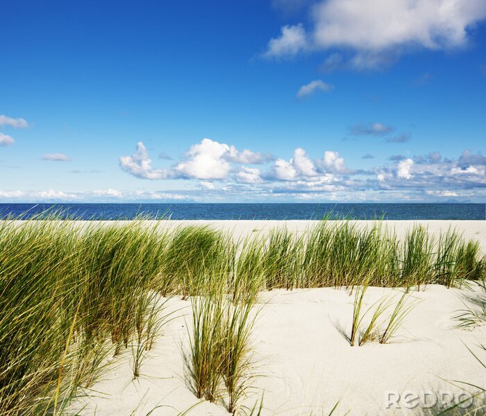 Fotobehang Duinen en natuur