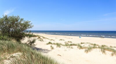 Fotobehang Duinen groen en strand