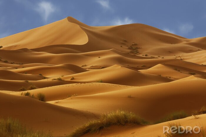 Fotobehang Duinen in de Sahara woestijn
