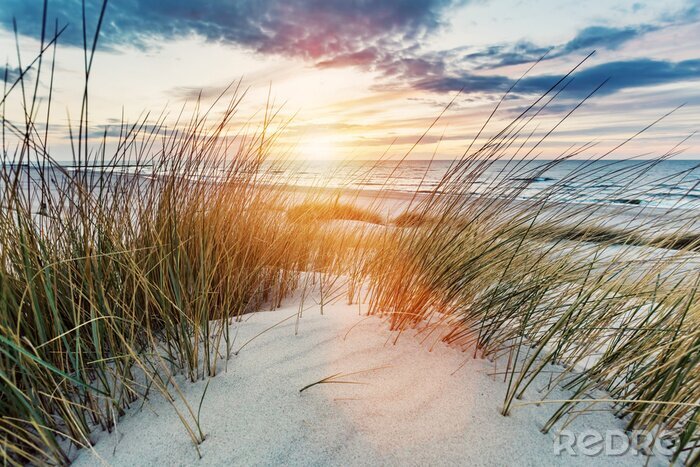 Fotobehang Duinen van de Oostzee bij zonsondergang