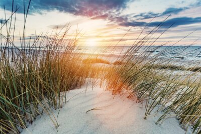 Fotobehang Duinen van de Oostzee bij zonsondergang