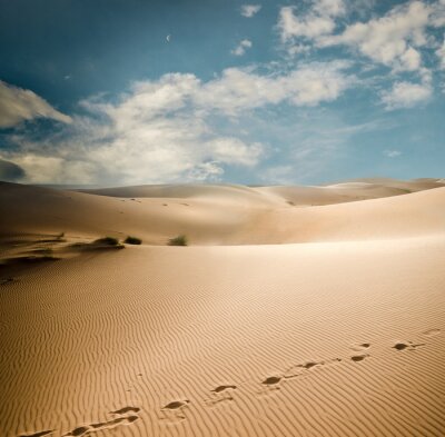 Fotobehang Duinen van de Sahara