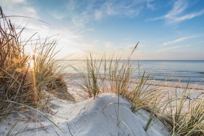 Fotobehang Duinen, zand, zee en droog gras