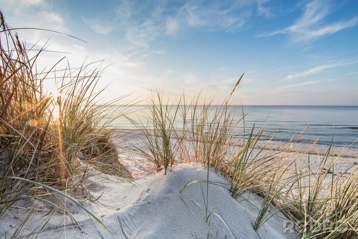 Fotobehang Duinen, zand, zee en droog gras