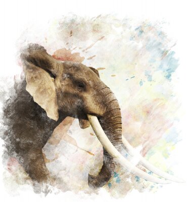 Fotobehang Een afbeelding van een olifant geschilderd in aquarel
