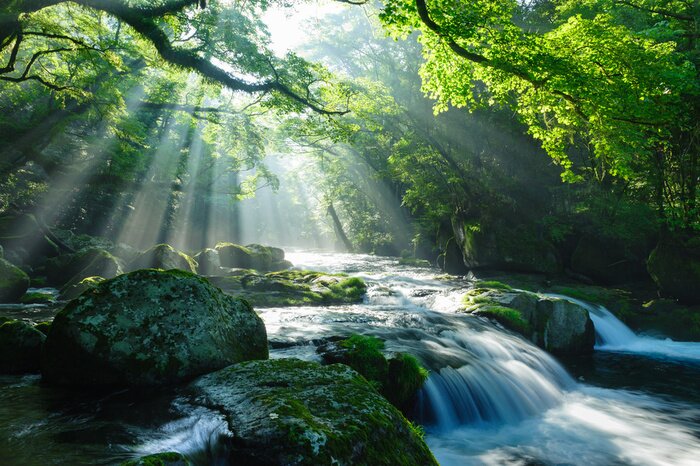 Fotobehang Een beek in het bos tussen de rotsen