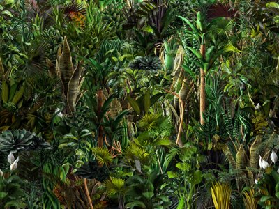 Fotobehang Een bezoek aan de jungle