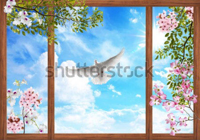 Fotobehang Een blik door het raam op een witte duif tegen de wolken