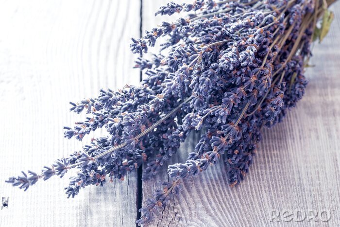 Fotobehang Een boeket gedroogde lavendel