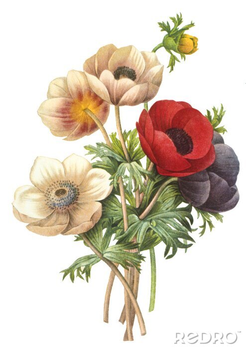 Fotobehang Een boeket planten van veldbloemen