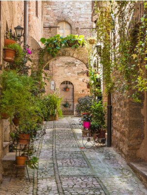 Poster Een charmante straat met een poort met een boog.
