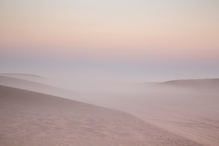Fotobehang Een delicaat woestijnlandschap in de mist